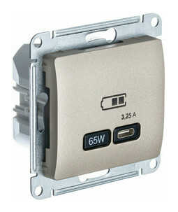 Розетка USB type C Systeme Electric GLOSSA, скрытый монтаж, титан, GSL000427