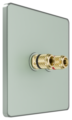 Systeme Electric Systeme Infinity Таежное утро Розетка аудио